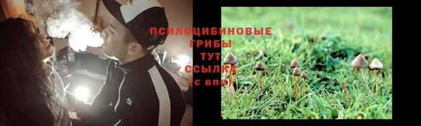 соль ск Алзамай