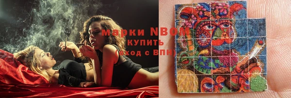 соль ск Алзамай