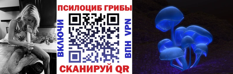 Псилоцибиновые грибы MAGIC MUSHROOMS Первоуральск