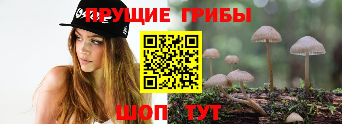 Галлюциногенные грибы GOLDEN TEACHER Первоуральск